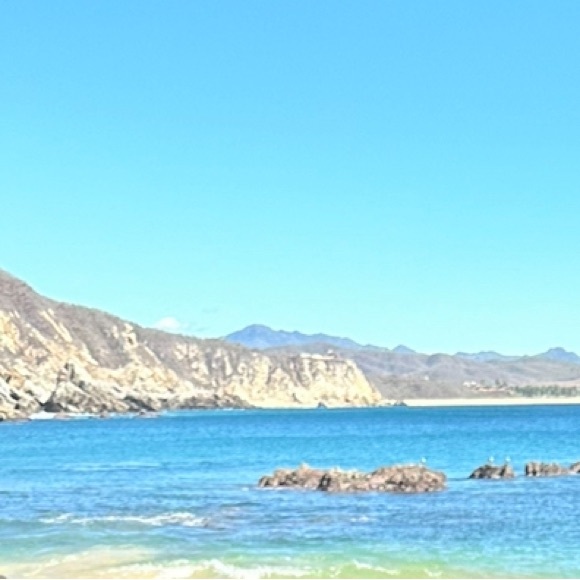 Meet your Posher, Rocio - Picture 2 of 2